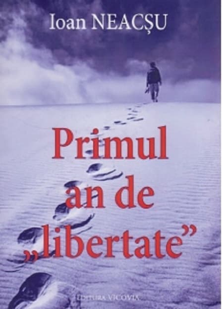 Primul an de "libertate" | Ioan Neacsu