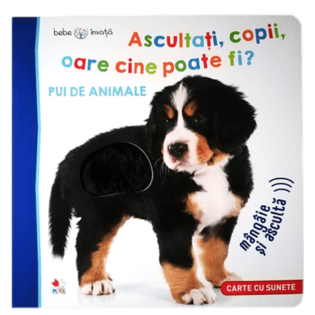 Ascultati, copii, oare cine poate fi? Pui de animale |