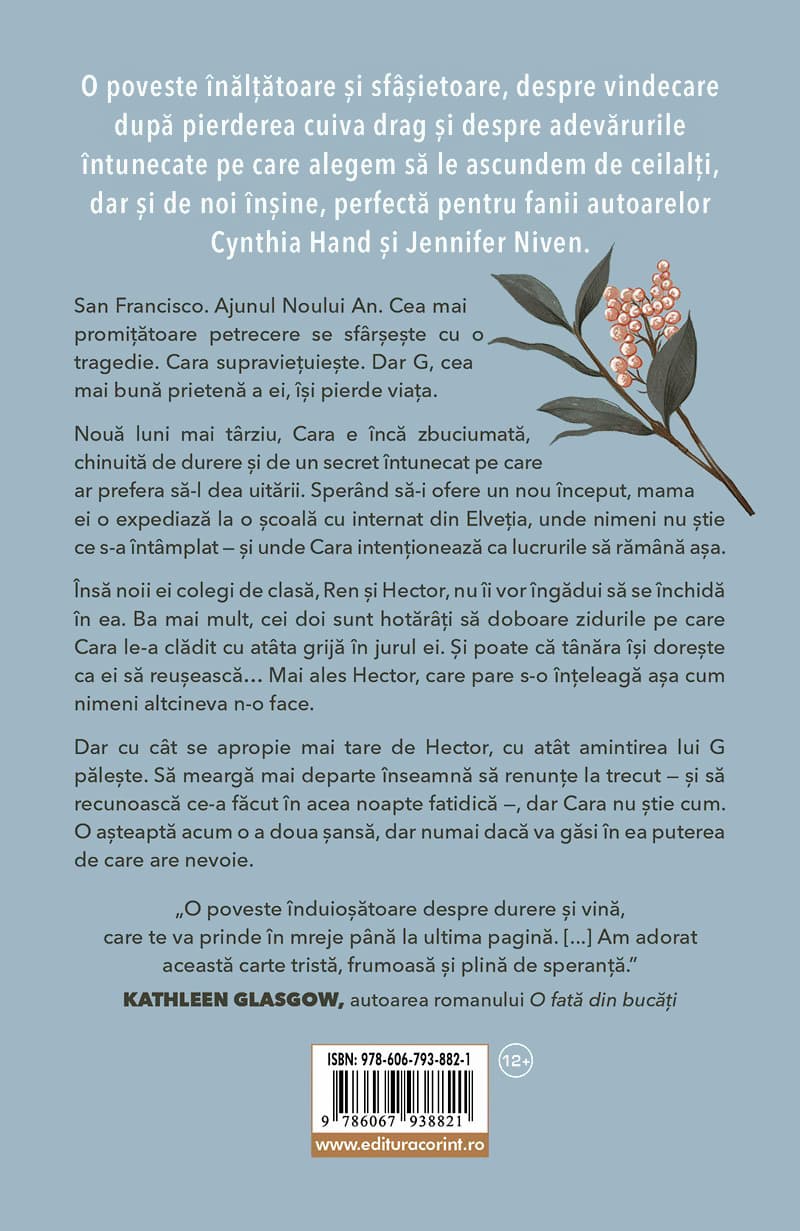 Un an fara tine | Nina de Pass