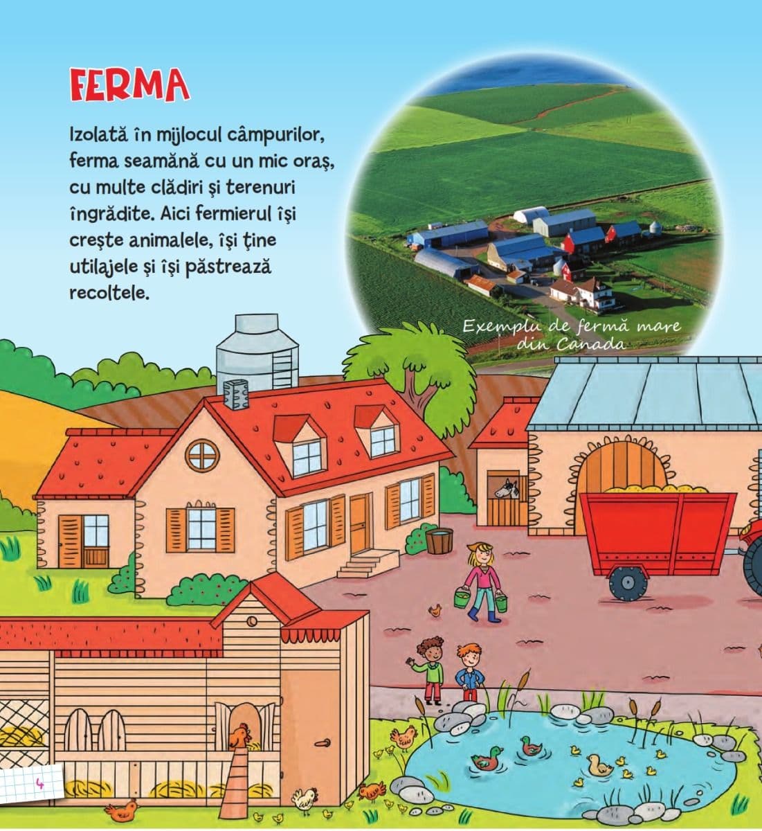 Ferma | Emmanuelle Kecir-Lepetit
