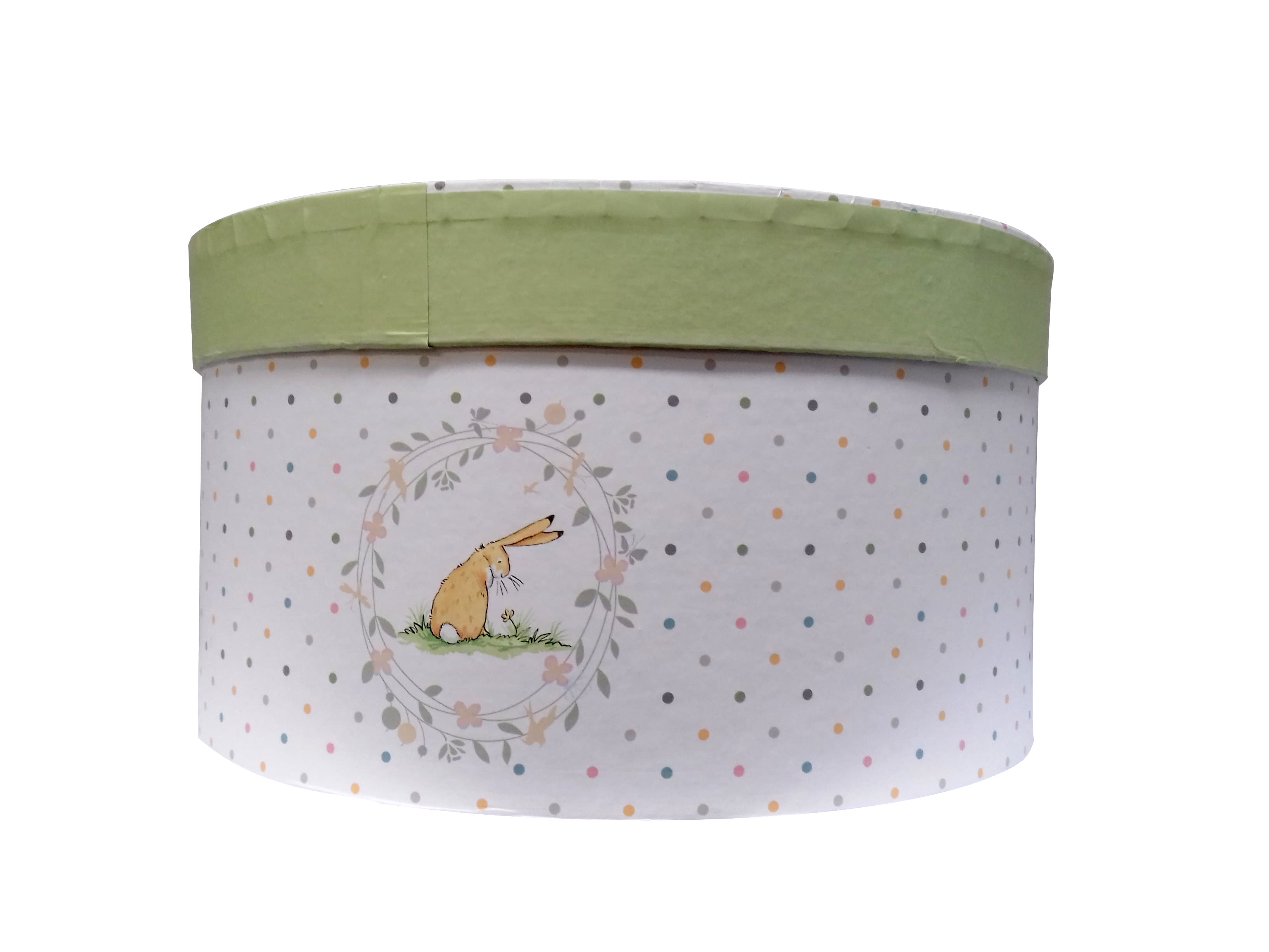 Cutie din carton - Eric Carle, The Hungry Caterpillar | Robert Frederick
