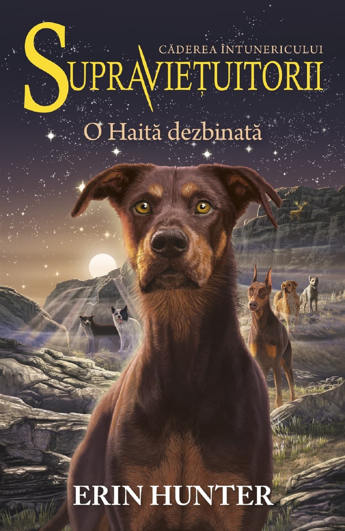 O Haita dezbinata | Erin Hunter