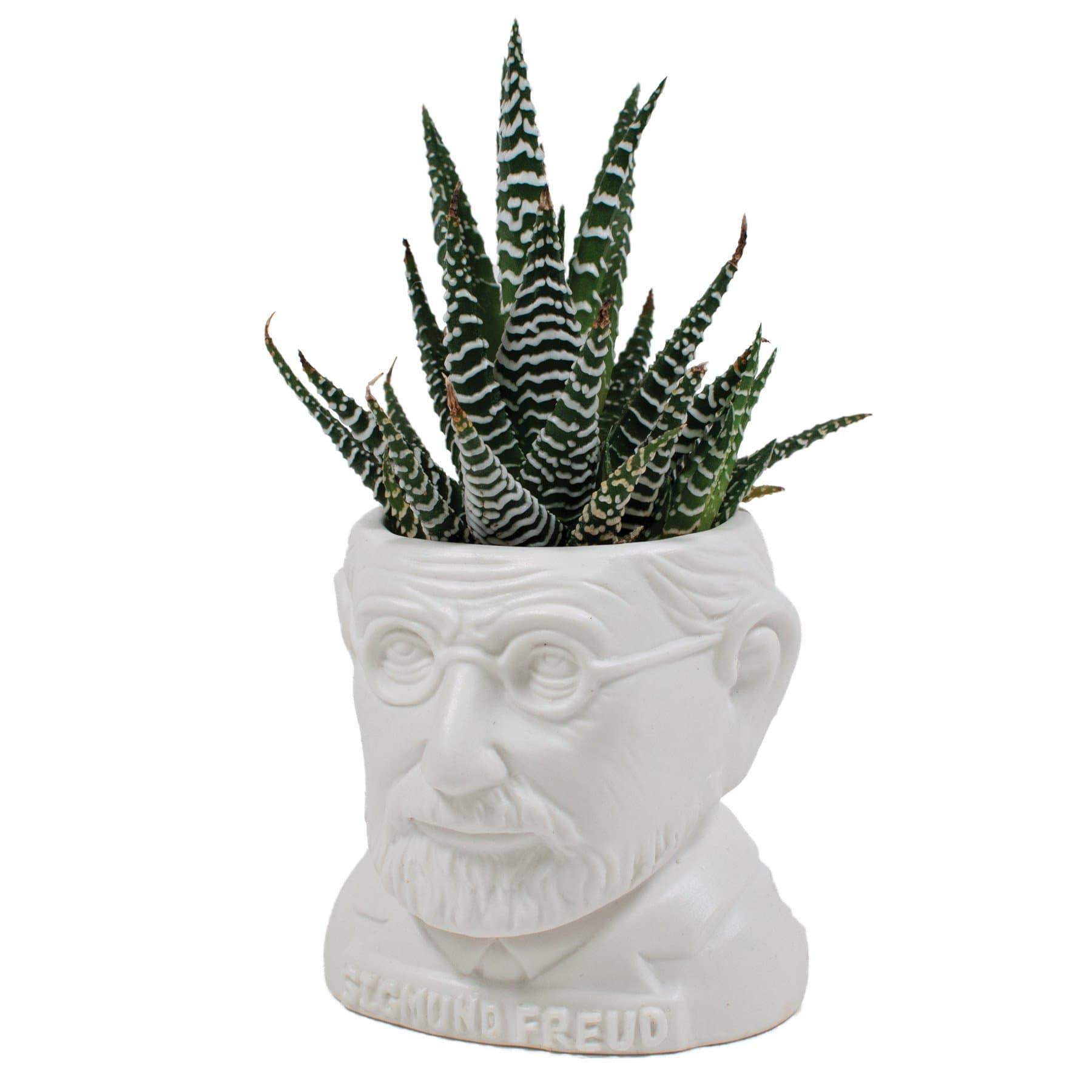 Ghiveci - Sigmund Freud | The Unemployed Philosophers Guild