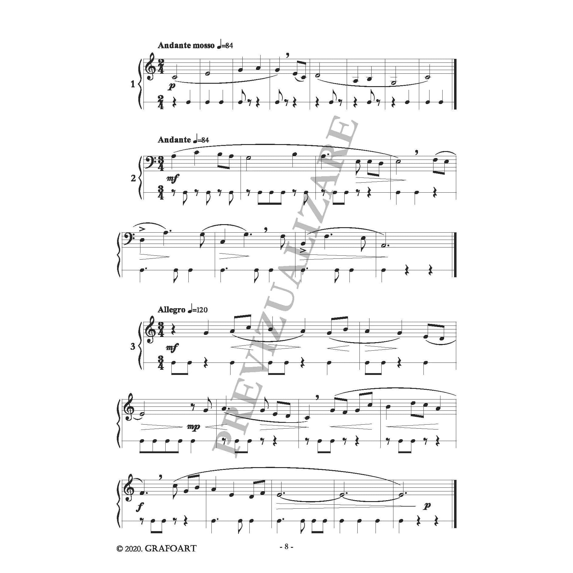 104 solfegii metro-ritmice | Alexandru Sumski, Victor Ceaicovski