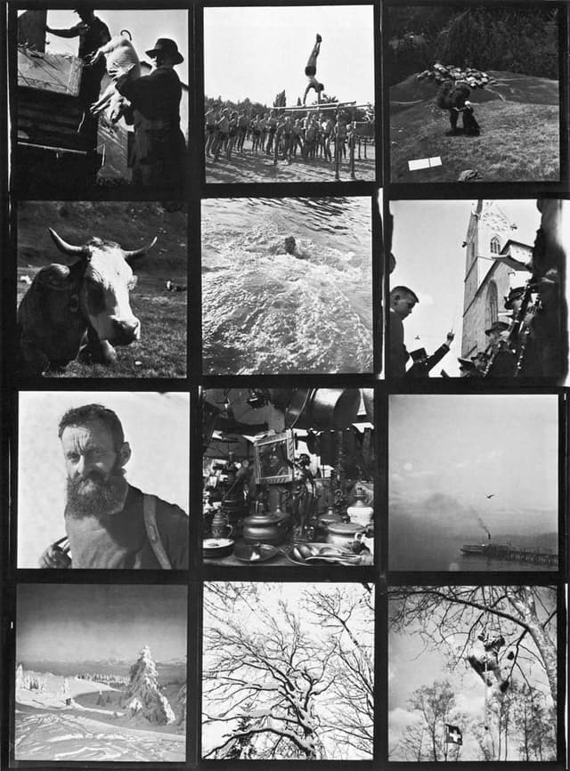 The Lines of My Hand | Robert Frank