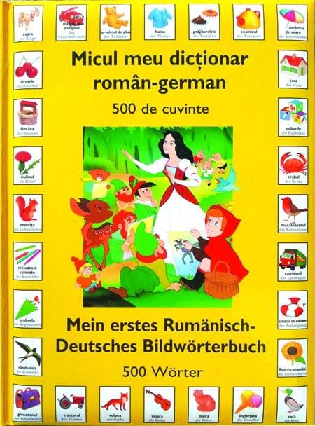 Micul meu dictionar Roman - German |