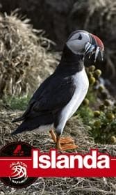 Ghid turistic Islanda | Florin Andreescu, Ciolca Dana-Elena
