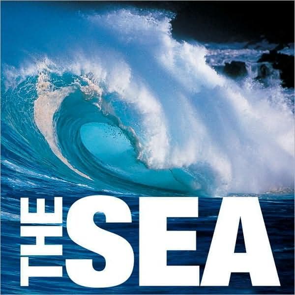 The Sea | Valeria Manferto De Fabianis