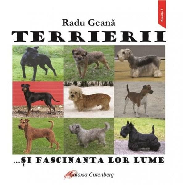 Terrierii ... si fascinanta lor lume | Radu Geana