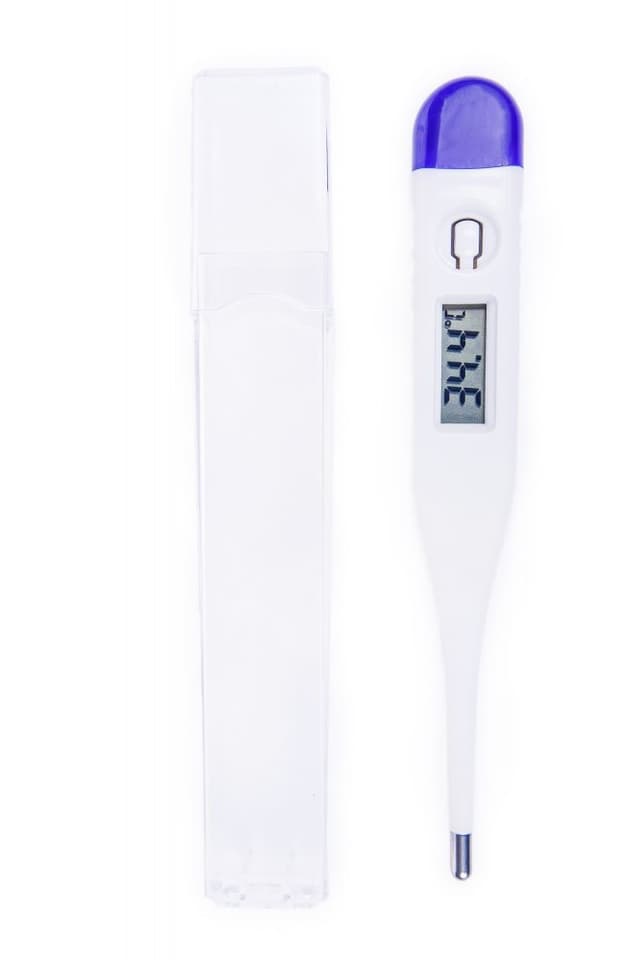 Termometru digital Easycare