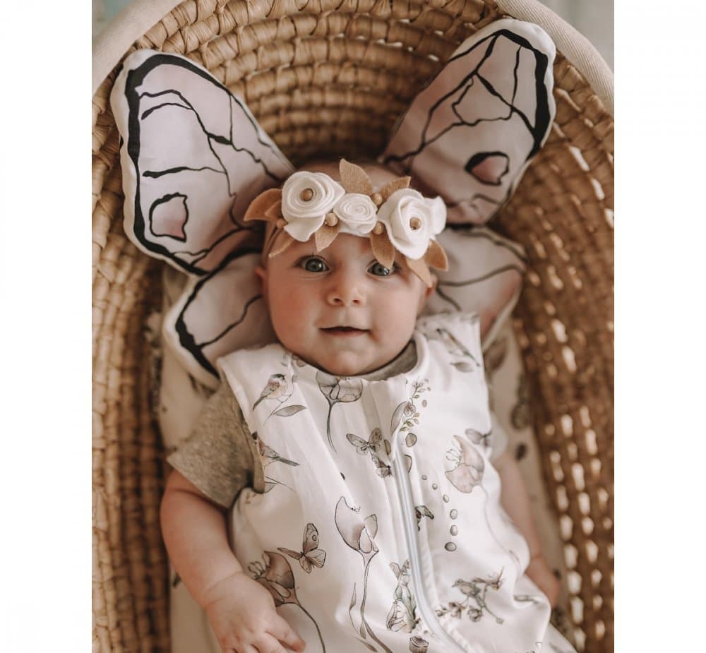 Perna Butterfly