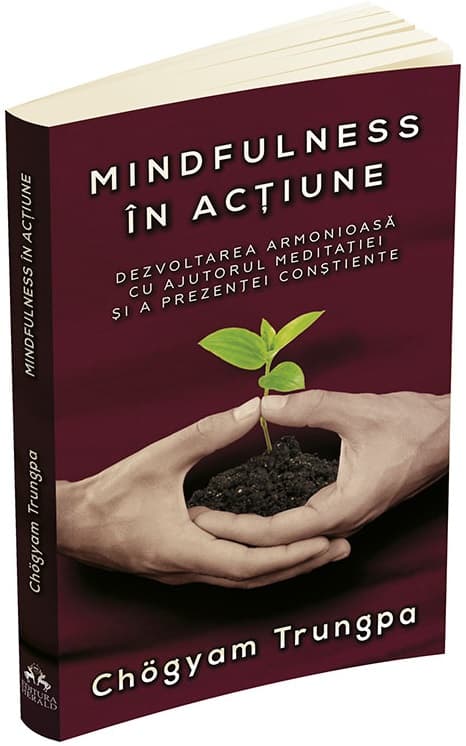 Mindfulness in actiune | Chogyam Trungpa