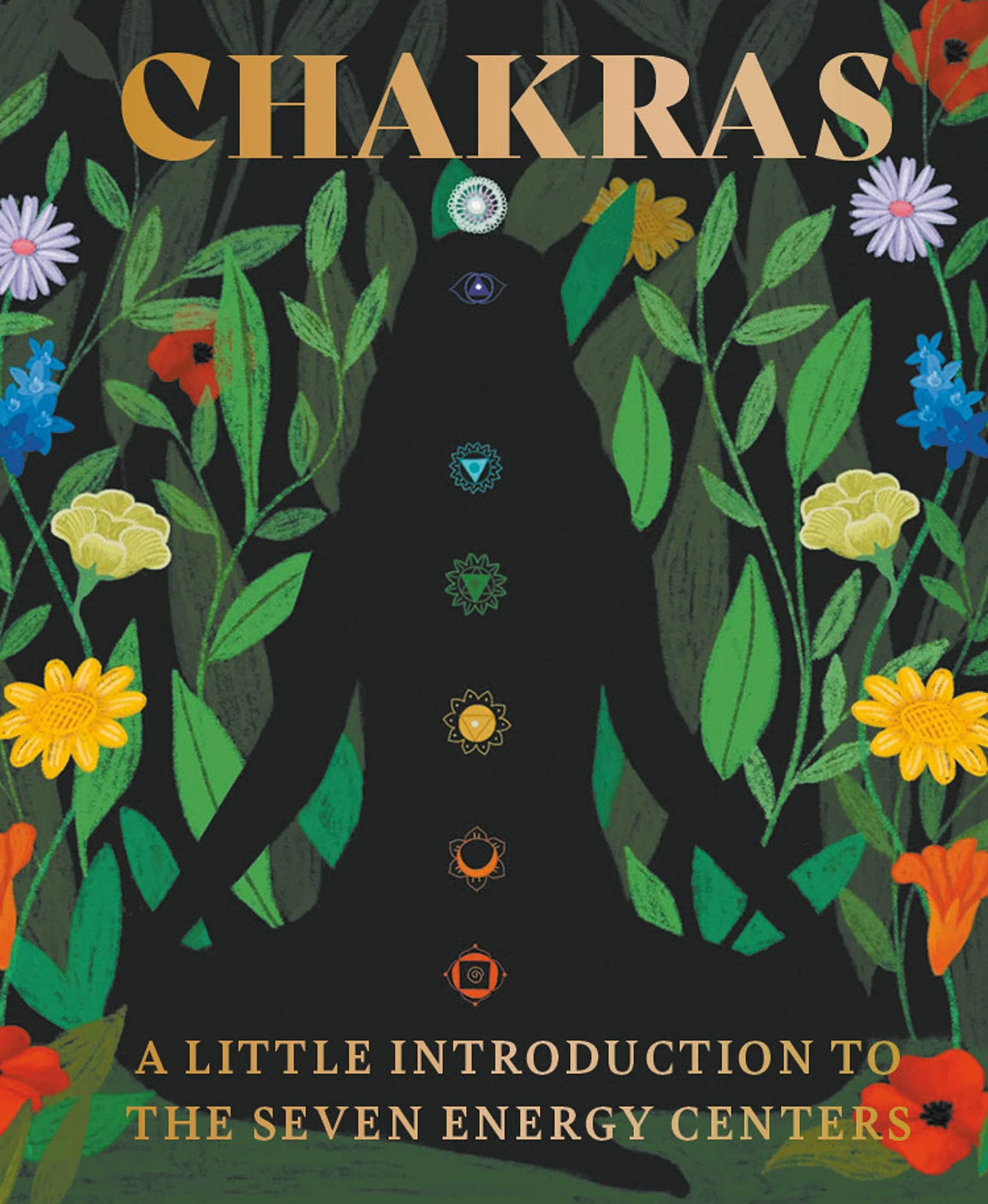 Chakras | Nikki Van De Car
