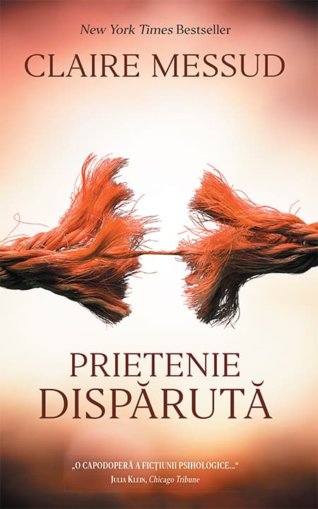 Prietenie disparuta | Claire Messud