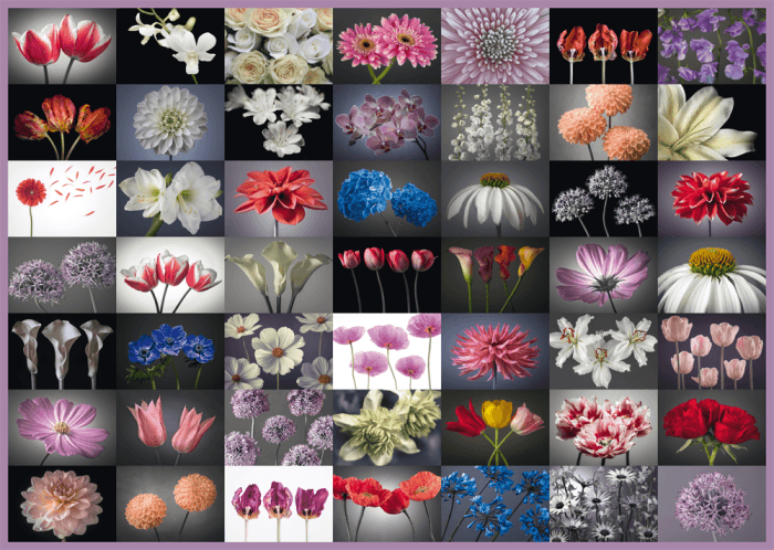 Puzzle 2000 piese - Floral Greeting | Schmidt