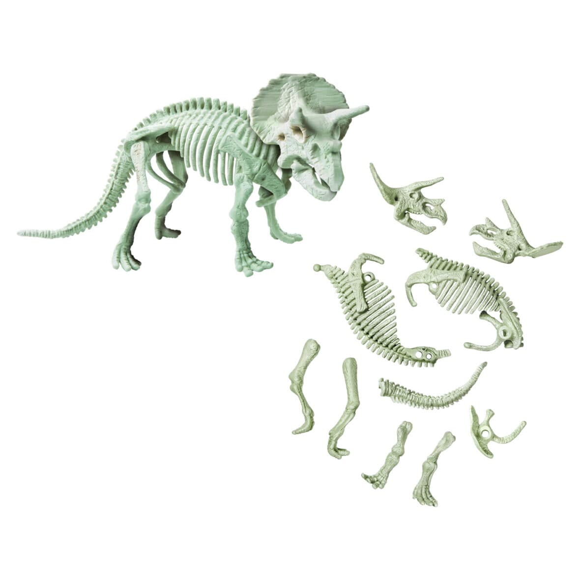 Set - Dinozaurul Triceratops | As Company