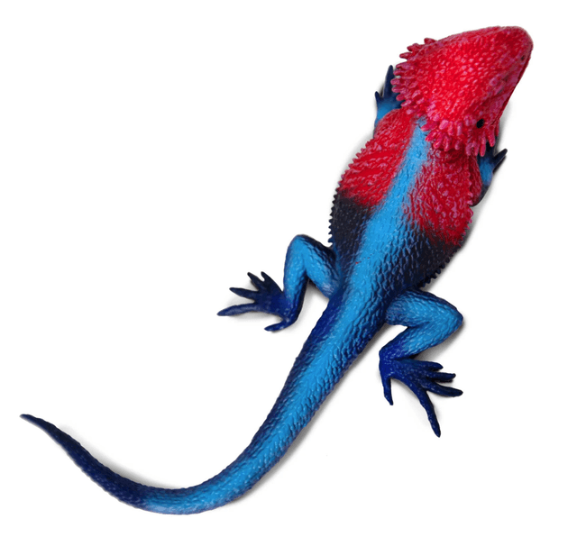 Figurina - Mwanza Flat-Headed Rock Agama | Safari