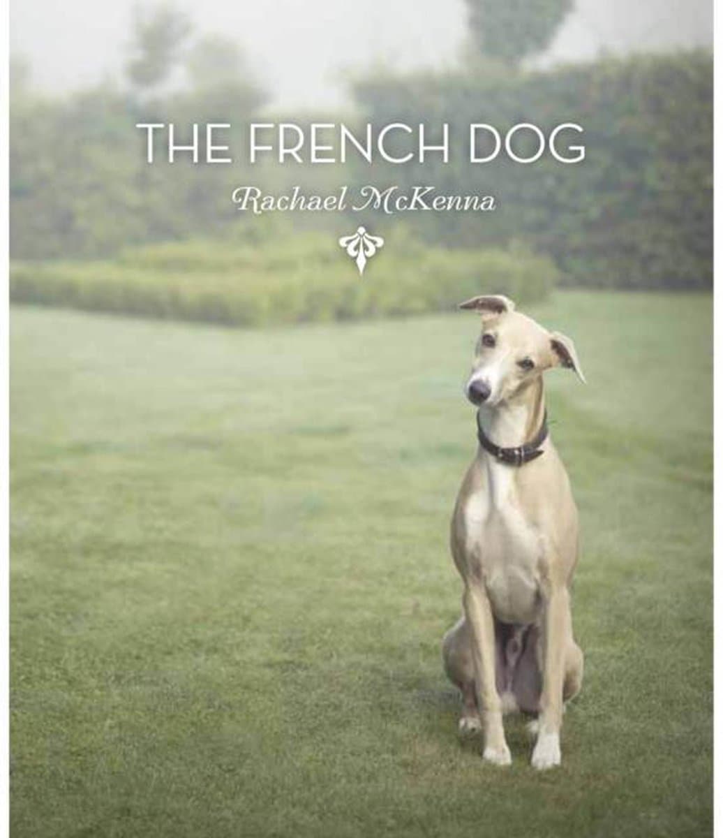 The French Dog | Rachael McKenna