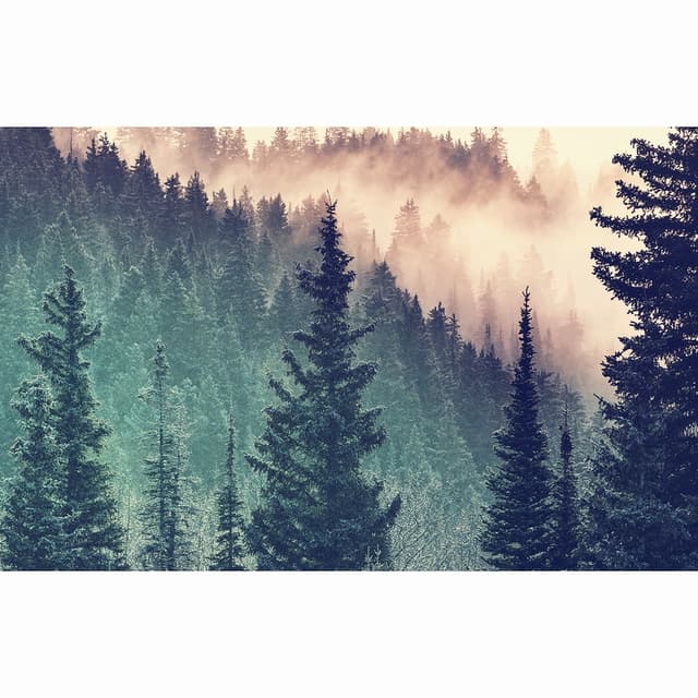 Puzzle 200 piese - Moment - Forest | Ravensburger