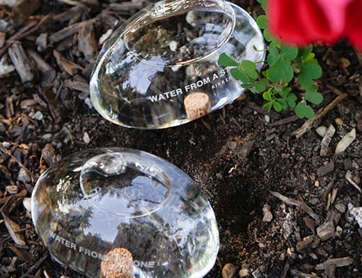 Sistem de irigatie plante - Water From a Stone | Kikkerland