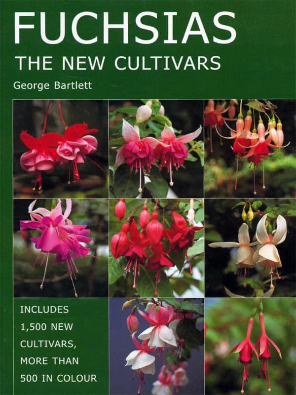 Fuchsias | George Bartlett