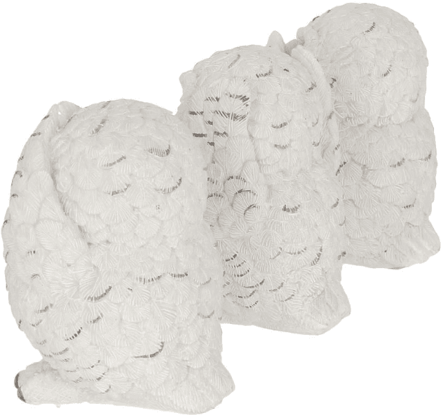 Figurina - Three Wise Owls, mai multe modele | Nemesis Now