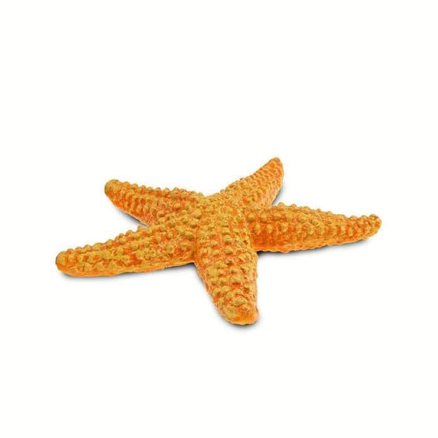 Figurina - Stea de mare | Safari