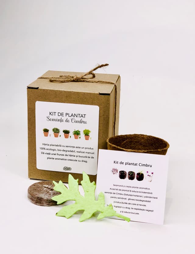 Kit de plantat hartie plantabila Cimbru | Plante Cadou