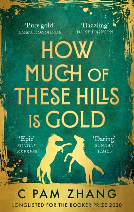 How Much of These Hills is Gold | C Pam Zhang