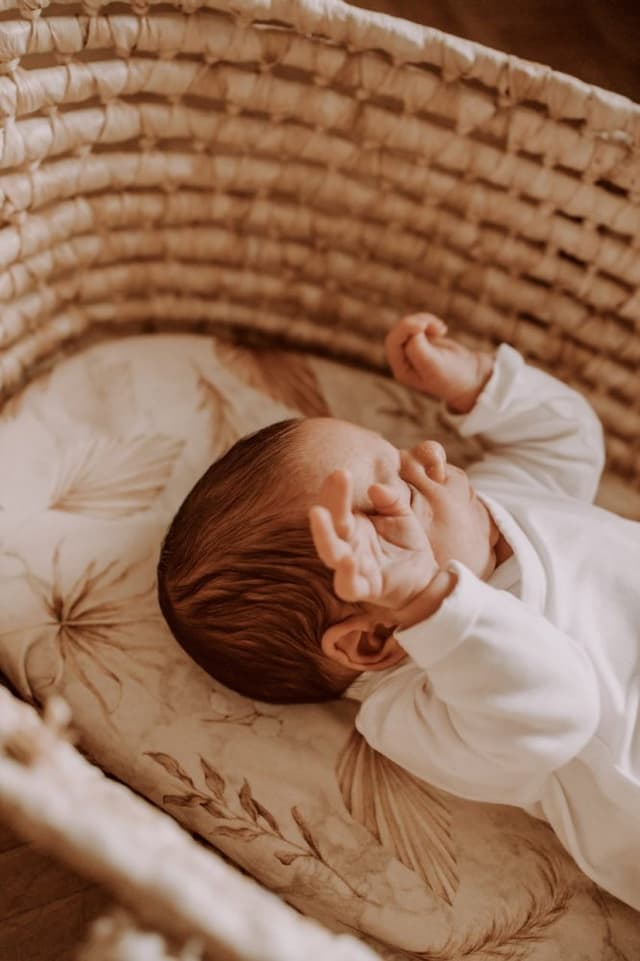 Set 2 cearsafuri cu elastic pentru landoucosulet bebe Boho SandBoho Botanic Sleepee