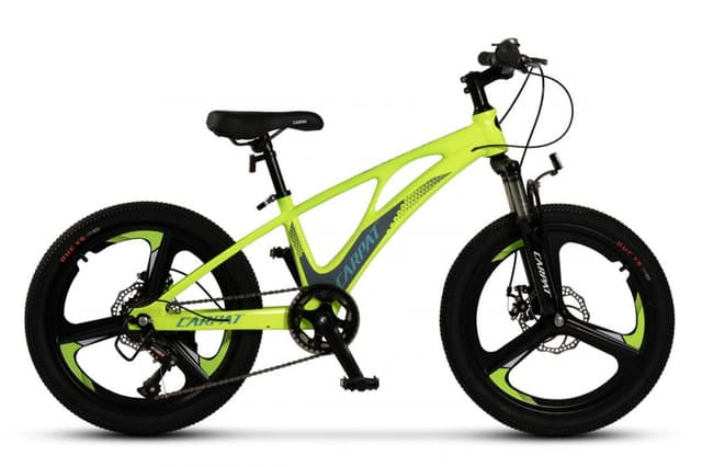 Bicicleta pentru copii MTB Carpat C20343A VerdeGri, roti 20 inch, cadru aluminiu, frane disc, 7 viteze