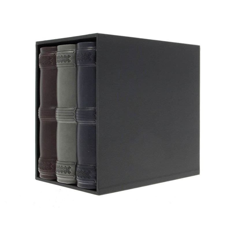 Set 3 albume foto elegance, 10x15, 600 poze, piele eco, cutie decorativa